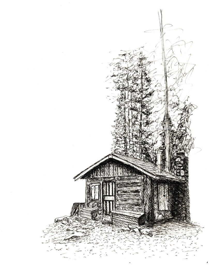 Cabin in the woods_16x20
